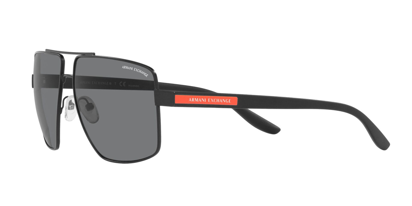 Gafas De Sol Armani Exchange AX2037S Polar Grey